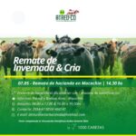 ATREU-CO | Macachín – La Pampa | Próximo Remate Feria el martes 07 de mayo del 2024