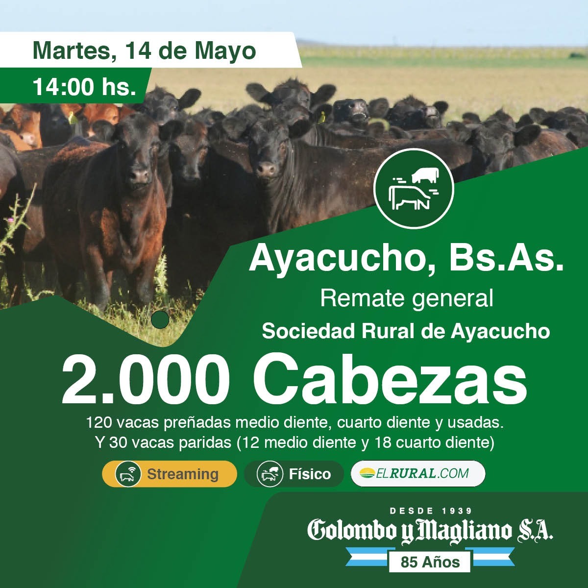 Colombo y Magliano S.A | Ayacucho, Bs. As. | Próximo Remate Feria el Martes 14 de Mayo del 2024