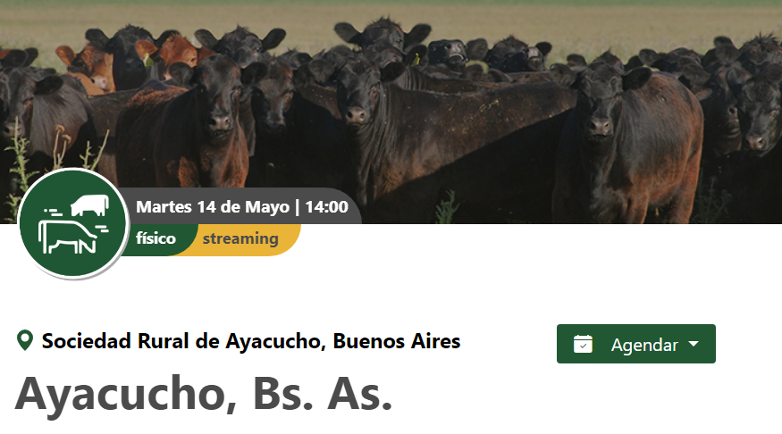 Colombo y Magliano S.A | Ayacucho, Bs. As. | Próximo Remate Feria el Martes 14 de Mayo del 2024