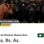 Colombo y Magliano S.A | Olavarría, Bs. As. | Próximo Remate Feria el Miércoles 08 de Mayo del 2024