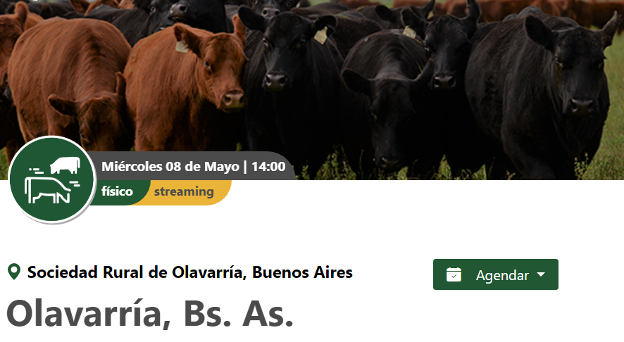 Colombo y Magliano S.A | Olavarría, Bs. As. | Próximo Remate Feria el Miércoles 08 de Mayo del 2024