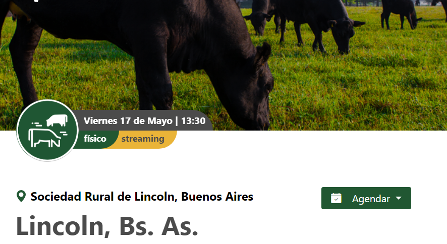 Colombo y Magliano S.A | Lincoln, Bs. As. | Próximo Remate Feria el Viernes 17 de Mayo  del 2024