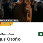 Colombo y Magliano S.A | TV Angus Otoño| Próximo Remate Feria el Viernes 24 de Mayo del 2024