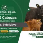 Colombo y Magliano S.A | Chascomús, Bs. As. | Próximo Remate Feria el Jueves 09 de Mayo del 2024