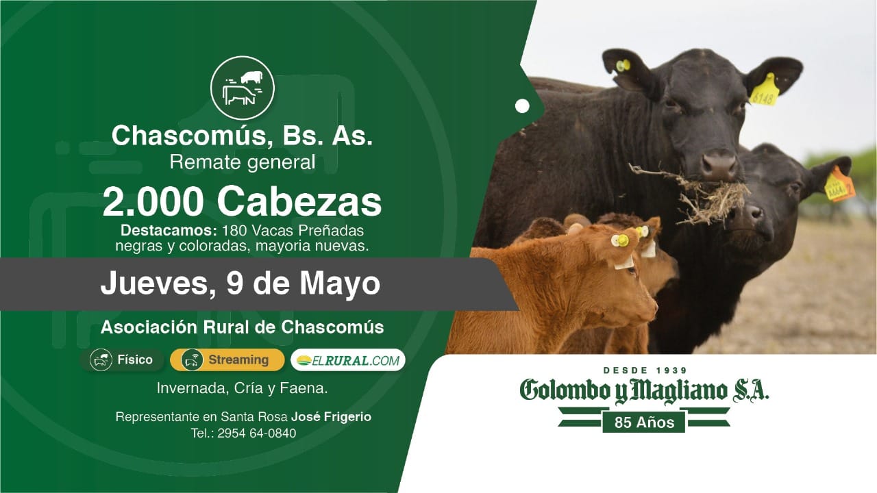 Colombo y Magliano S.A | Chascomús, Bs. As. | Próximo Remate Feria el Jueves 09 de Mayo del 2024
