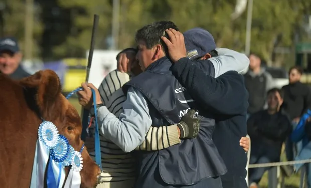 Cierre y balance de lujo para la Expo Angus: 70 mil cabezas de ganado en remates y más de 100 expositores