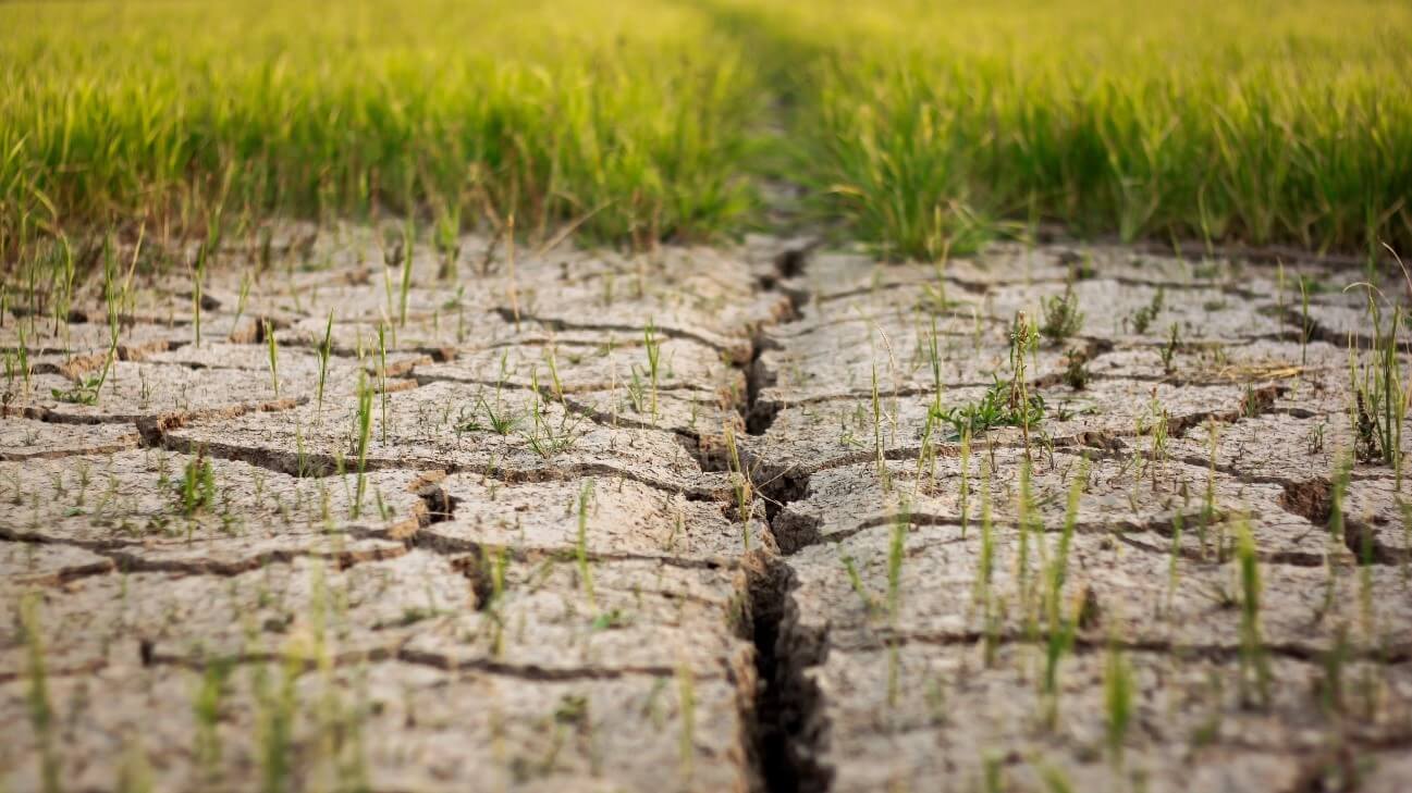 Se prevé que El Niño dé paso a La Niña este mismo año