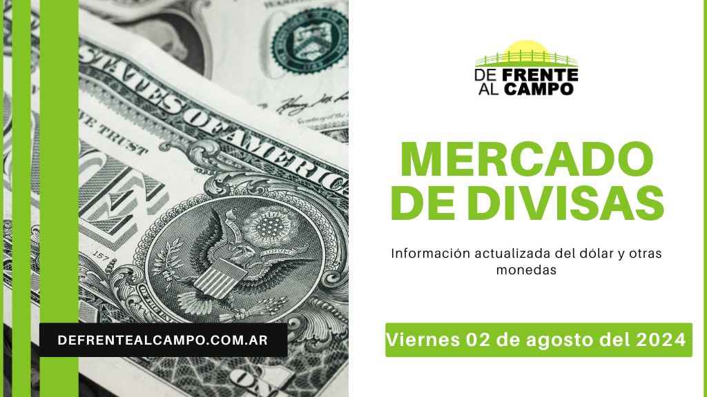 Cotizaciones del día: Viernes 02 de agosto de 2024: Dólar y Euro