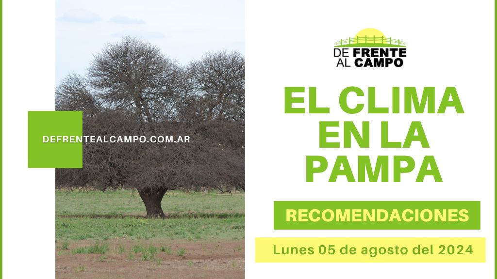 Pronóstico y recomendaciones para La Pampa: Fresco con Posibilidad de Lluvias y Vientos – Lunes 05 de agosto de 2024
