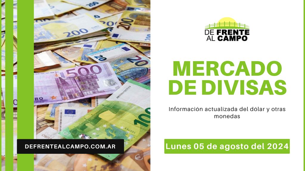 Cotizaciones del día: Lunes 05 de agosto de 2024: Dólar y Euro