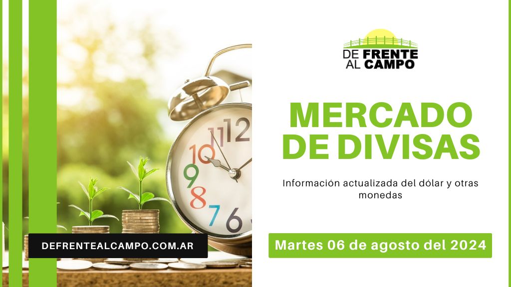 Cotizaciones del día: Martes 06 de agosto de 2024: Dólar y Euro