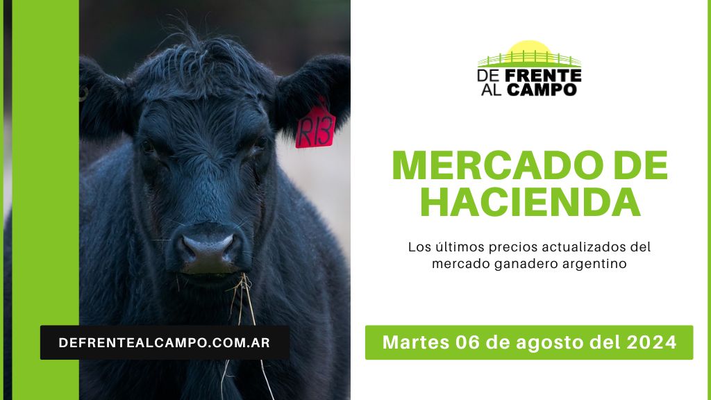 Informe del Mercado Ganadero de Cañuelas: Precios, índices y categorías al martes 06 de agosto de 2024