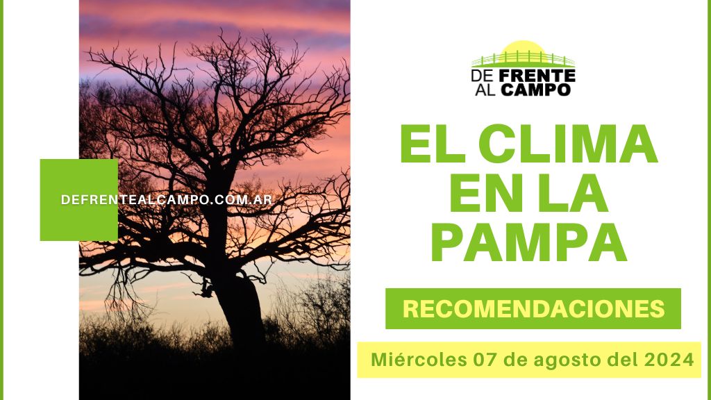Pronóstico y Recomendaciones para La Pampa, hoy miércoles 07 de agosto de 2024: Cielos Nublados, Bajas Temperaturas y Lluvias Aisladas