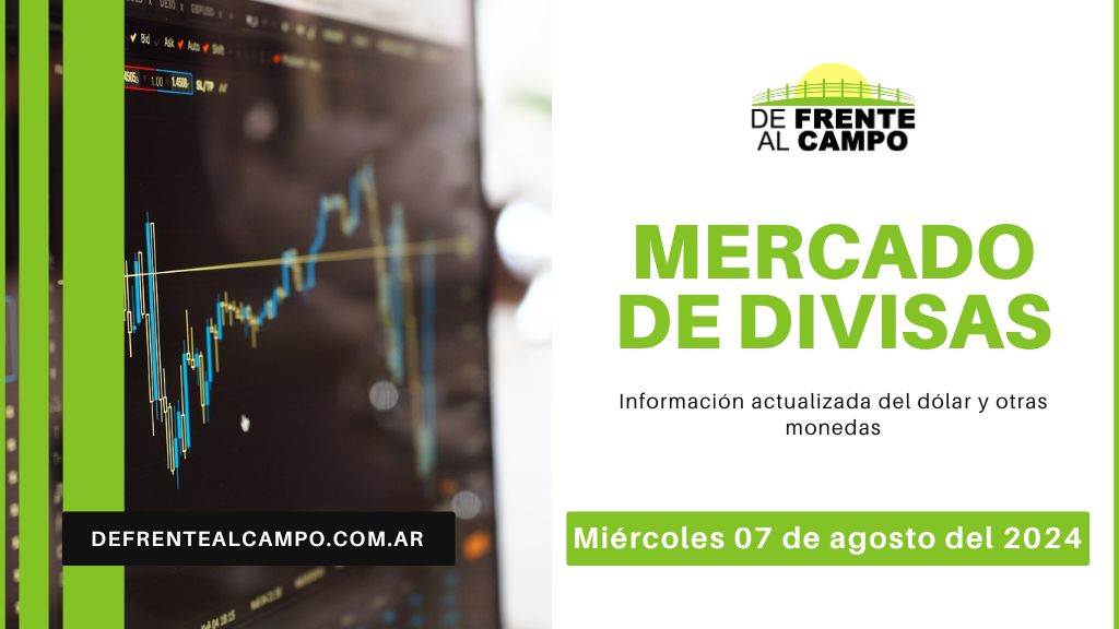 Cotizaciones del día: Miércoles 07 de agosto de 2024: Dólar y Euro