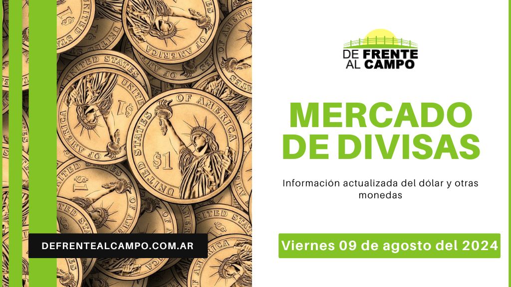 Cotizaciones del día: Viernes 09 de agosto de 2024: Dólar y Euro