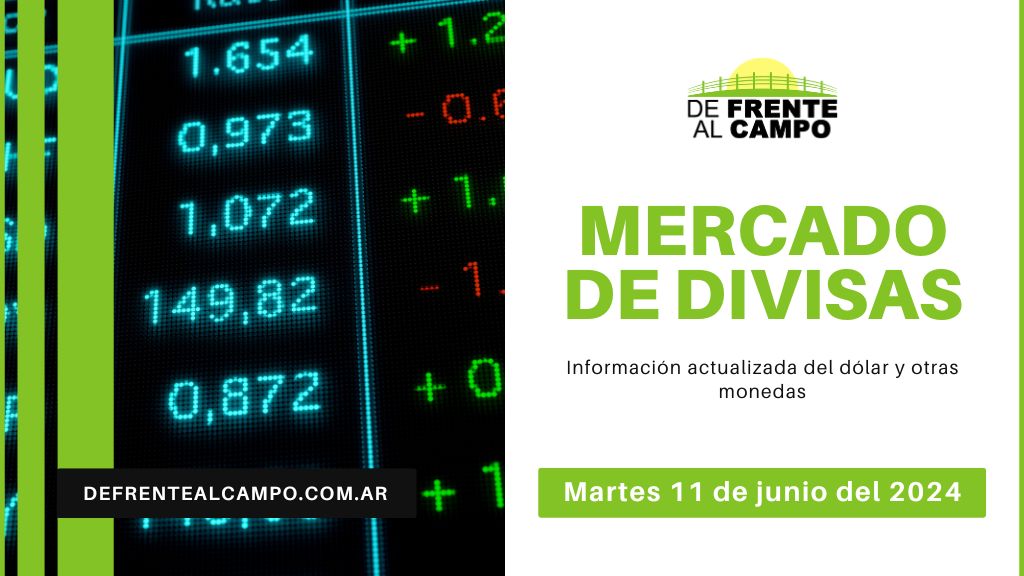 Cotizaciones del día: Martes 11 de junio de 2024: Dólar y Euro