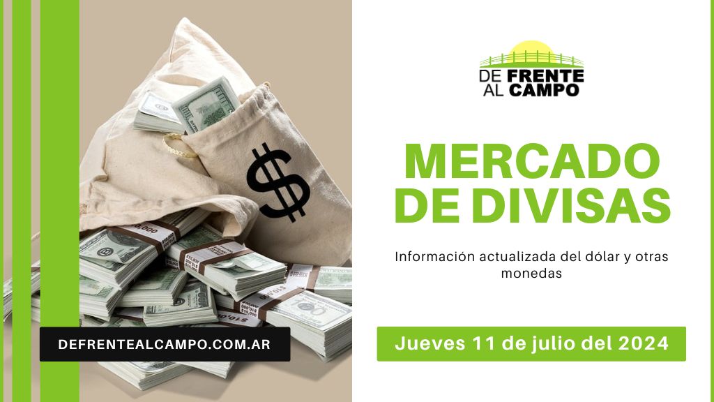 Cotizaciones del día: Jueves 11 de julio de 2024: Dólar y Euro