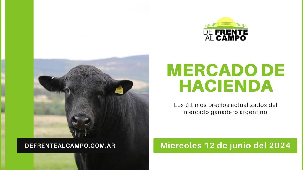 Informe del Mercado Ganadero de Cañuelas: Precios, índices y categorías al miércoles 12 de junio de 2024