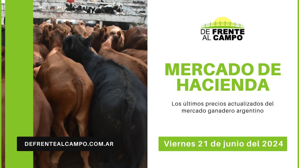 Informe del Mercado Ganadero de Cañuelas: Precios, índices y categorías al viernes 21 de junio de 2024