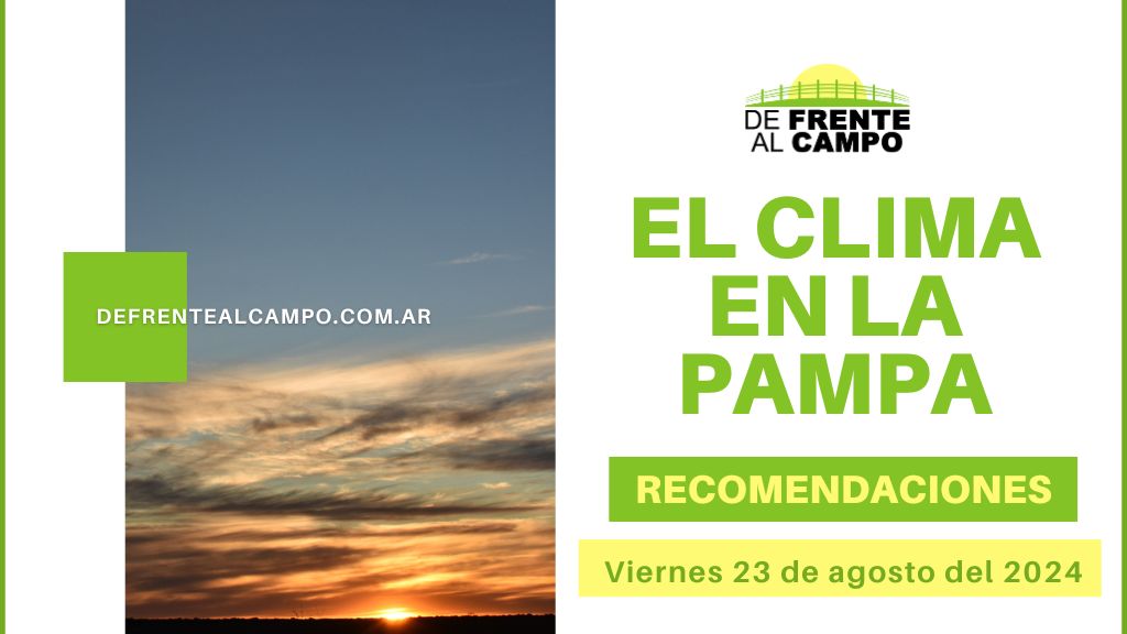 Clima y Recomendaciones para La Pampa: Cielos Parcialmente Cubiertos, Vientos del Sur y Chaparrones Aislados (23 de Agosto 2024)