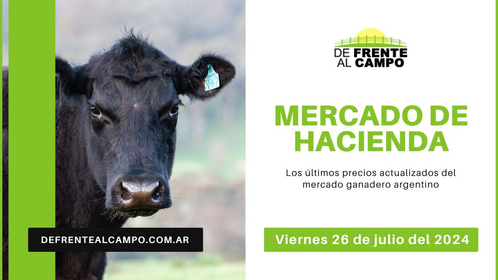 Informe del Mercado Ganadero de Cañuelas: Precios, índices y categorías al viernes 26 de julio de 2024