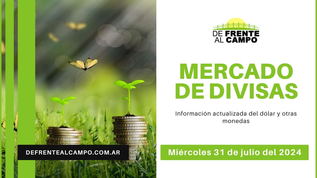 Cotizaciones del día: Miércoles 31 de julio de 2024: Dólar y Euro