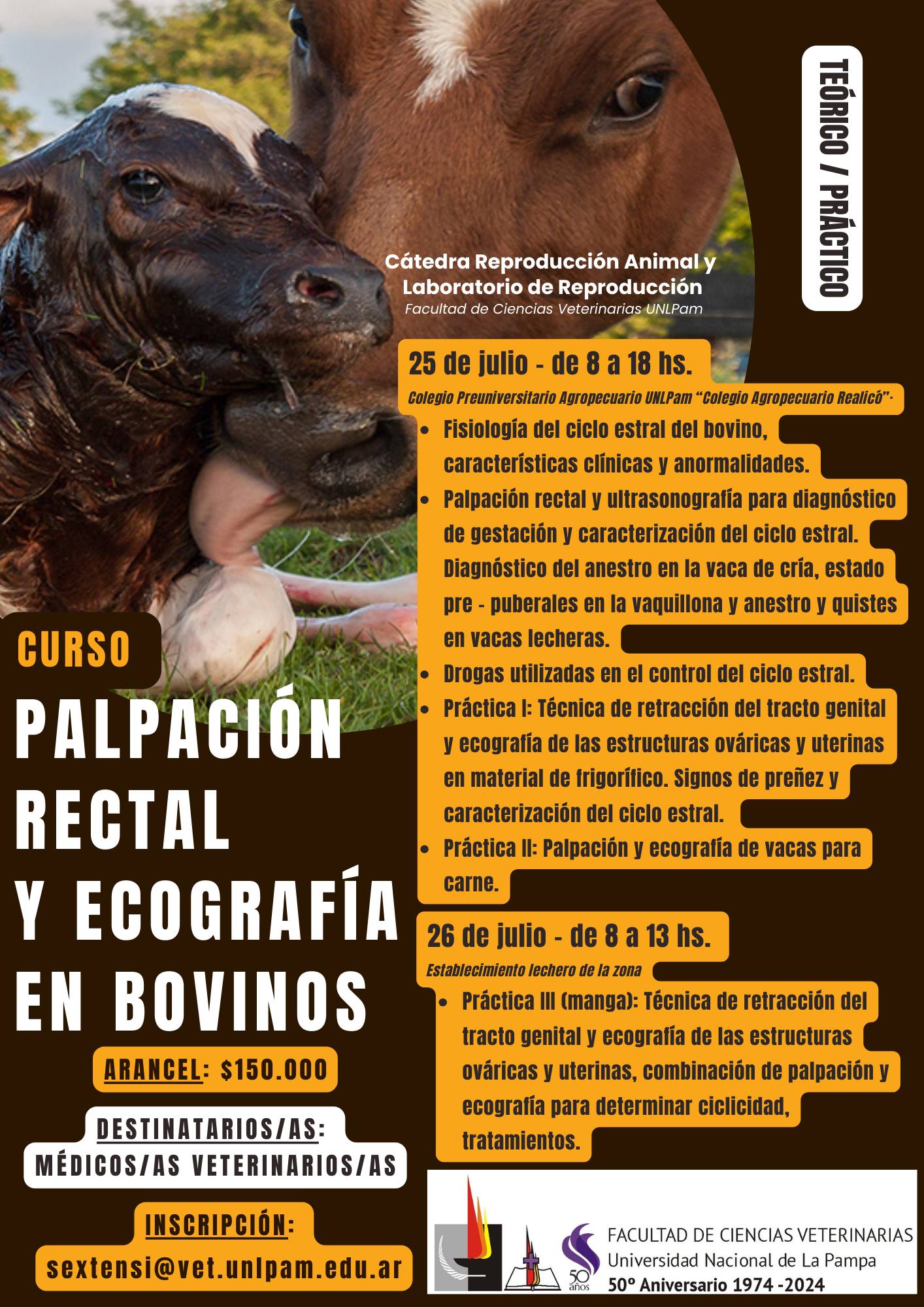 Curso: Palpación Rectal y ecografía en bovinos