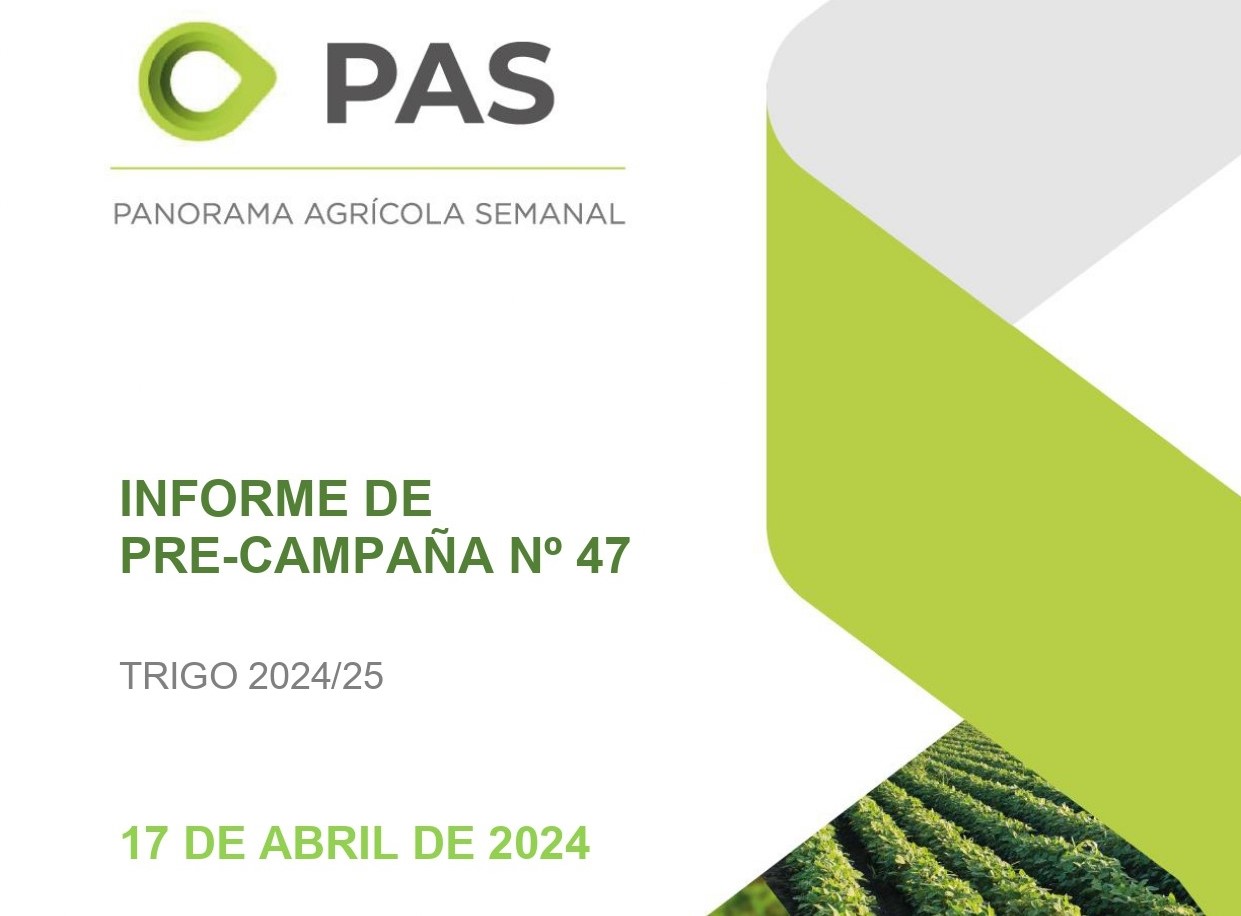 Bolsa De Cereales: Informe de Pre-Campaña Trigo 2024/25