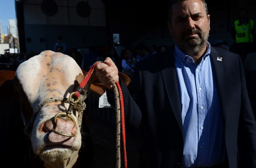 Juan Manuel Alberro: “La exportación es el objetivo al que tenemos que apuntar para que la cadena crezca realmente”