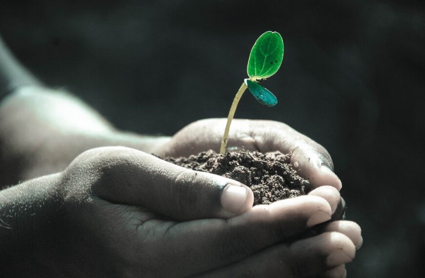 Revolución AgTech: Algoritmos y ADN para una Agricultura de Precisión