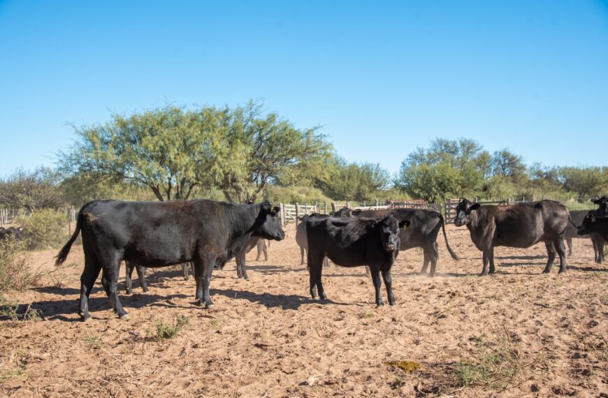 Lanzan nueva línea crediticia para productores agropecuarios afectados por la sequía