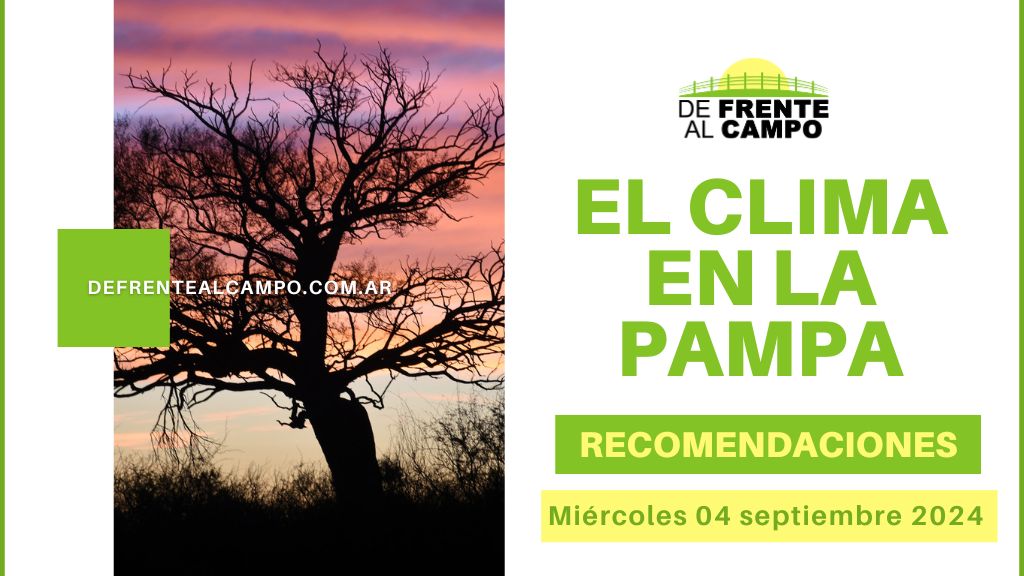 Clima Fresco y Soleado en La Pampa: Pronóstico y Recomendaciones para Hoy, Miércoles 4 de Septiembre