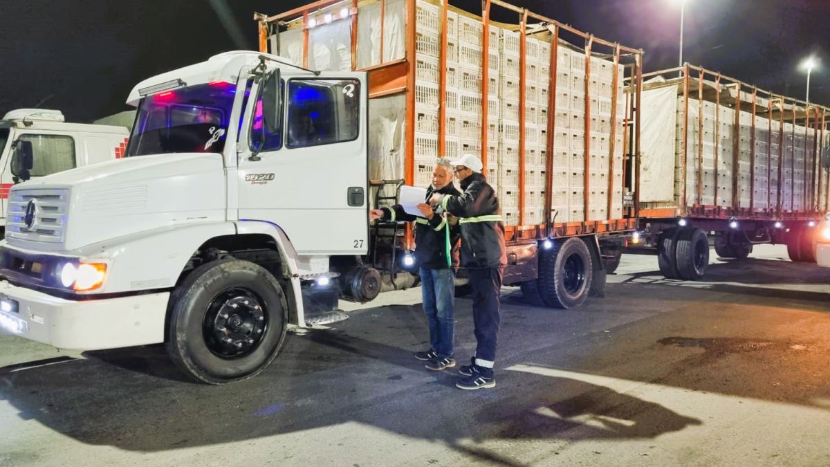 Habilitación de transportes de animales vivos y productos de origen animal
