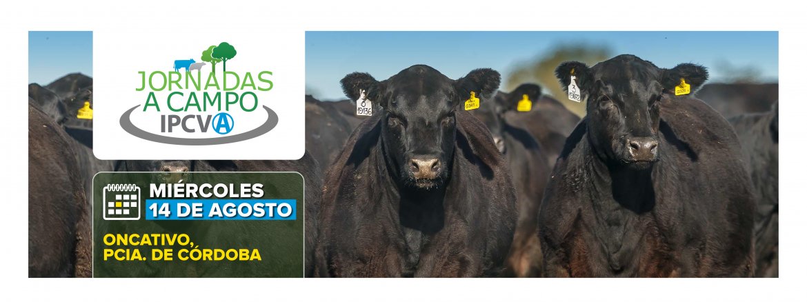 Jornada a Campo del IPCVA en Oncativo, Córdoba