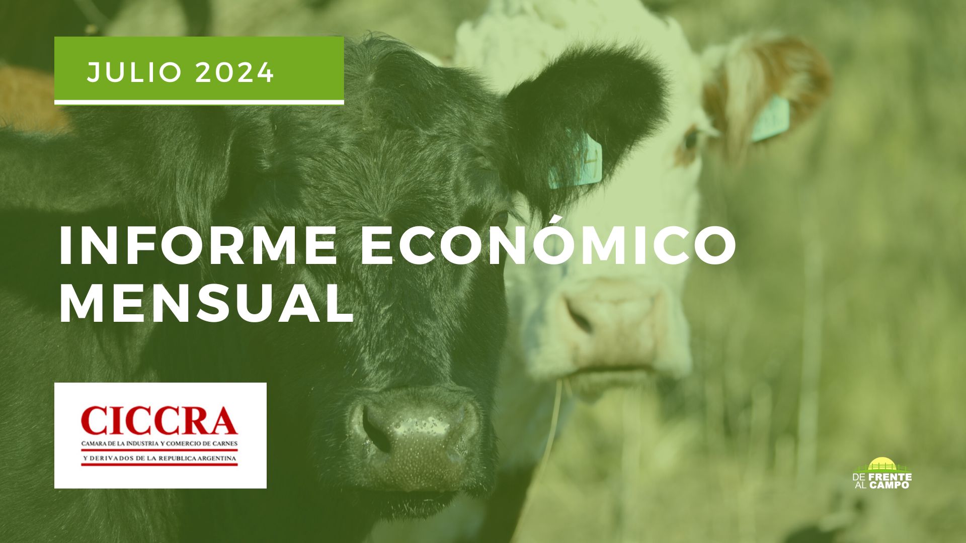 «Producción y Consumo de Carne Vacuna en Julio 2024, Caídas Históricas y Aumento en Exportaciones»
