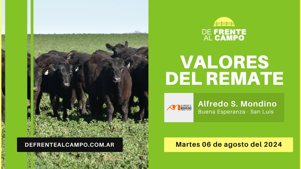 Valores del remate de Remate de Alfredo S. Mondino | Buena Esperanza – San Luis | 06-08-2024