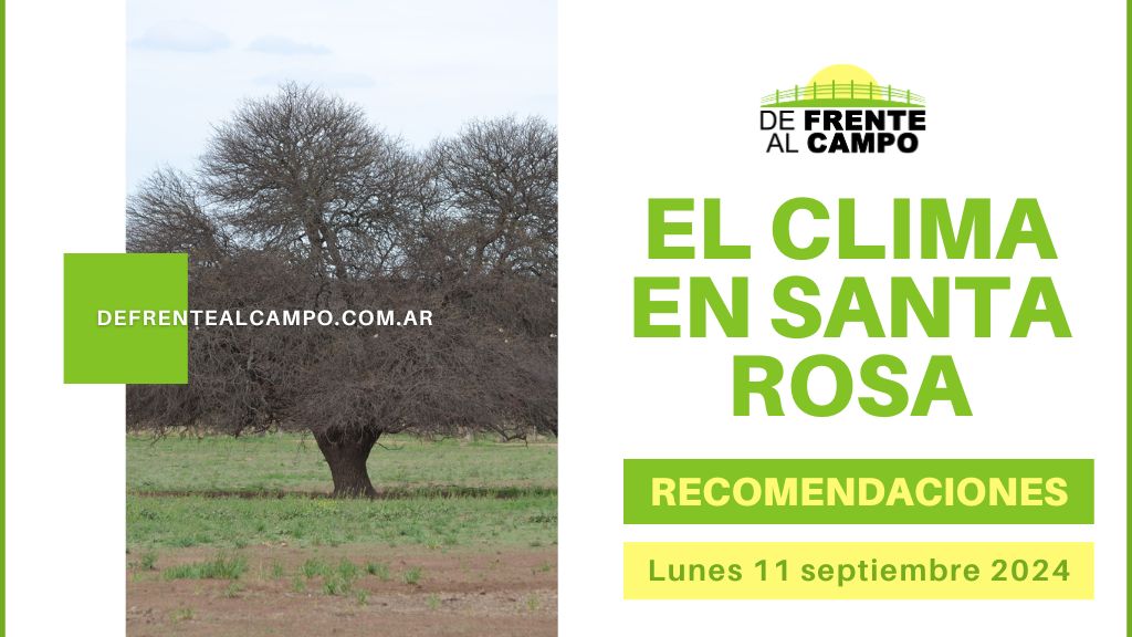 Pronostico santa rosa la pampa shop