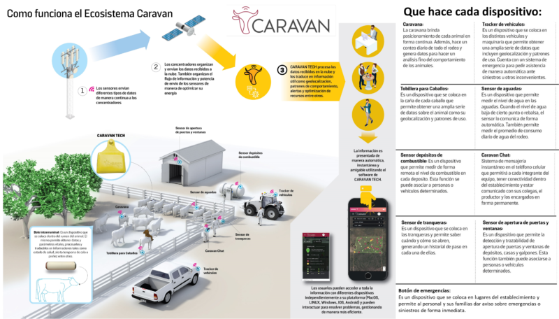 El caso Caravan Tech: Un grupo santafesino creó un sistema que a la identificación individual le añade una suerte del GPS para saber la ubicación exacta de los bovinos
