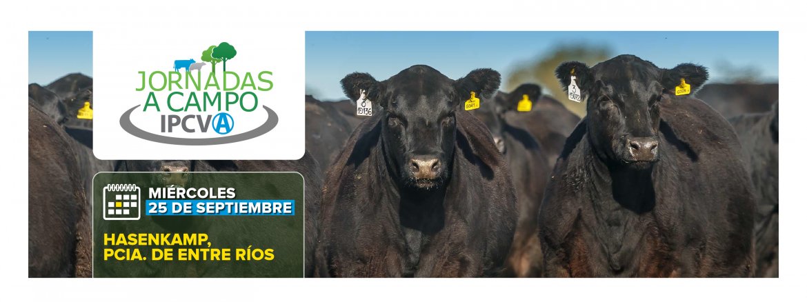 Jornada a campo del IPCVA en Hasenkamp, Entre Ríos