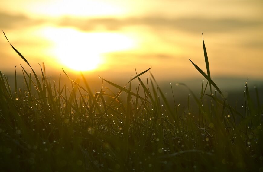 ¿Cómo será la primavera 2024 en Argentina?