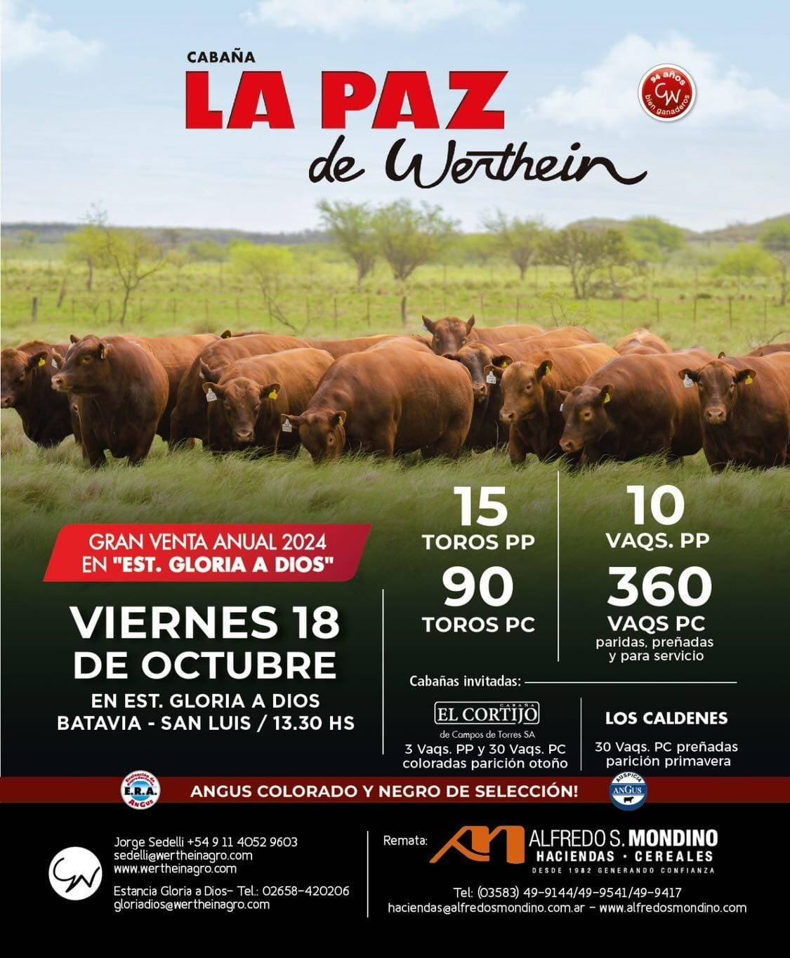 Alfredo S. Mondino | La Paz de Werthein | Batavia – San Luis | Próximo Remate Feria el viernes 18 de octubre 2024