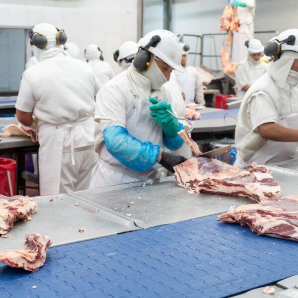 Fuertes críticas gremiales a la desregulación en la industria cárnica y la falta de control estatal