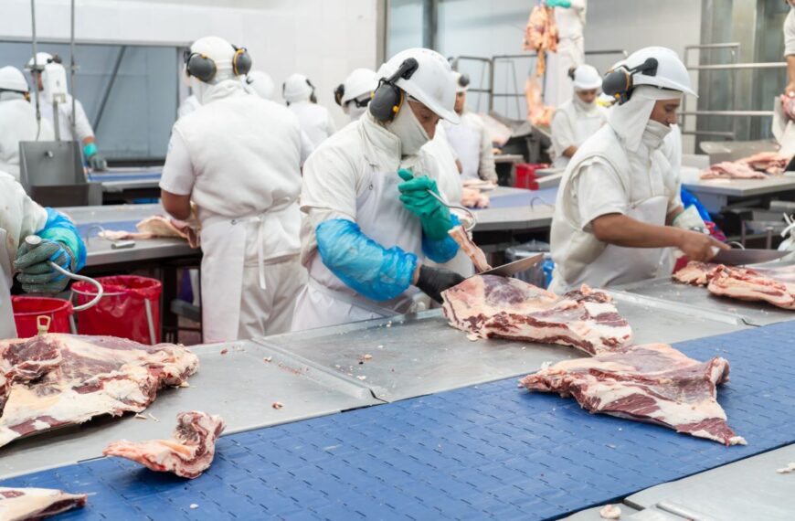 Fuertes críticas gremiales a la desregulación en la industria cárnica y la falta de control estatal