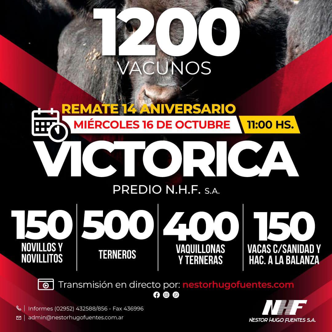 Néstor Hugo Fuentes S.A. | Victorica | Próximo Remate Feria el Miércoles 16 de octubre 2024