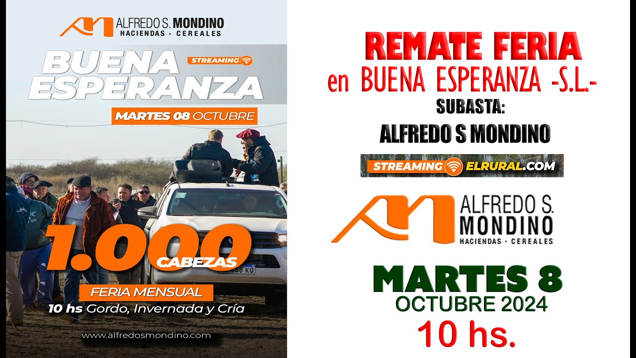 Remate de Alfredo S. Mondino | Buena Esperanza – San Luis | 08/10/2024