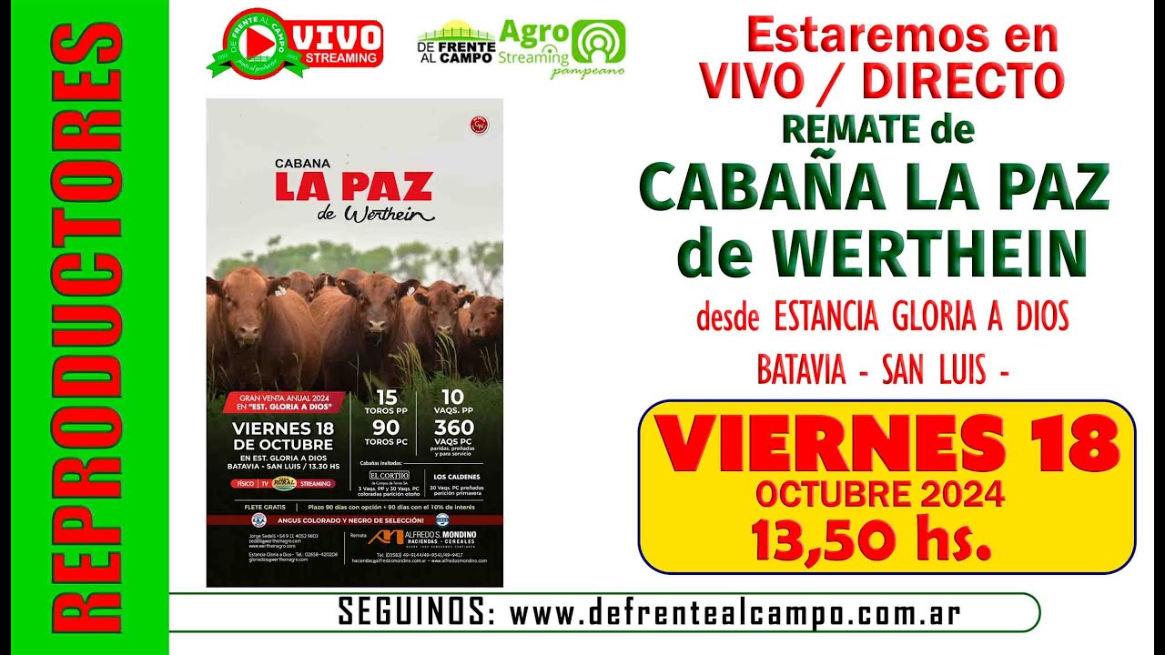 Remate de Alfredo S. Mondino| La Paz de Werthein  | Batavia | 18-10-2024