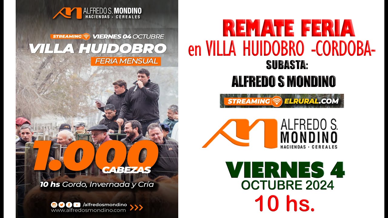Remate de Alfredo S. Mondino | Villa Huidobro – Córdoba | 04/10/2024