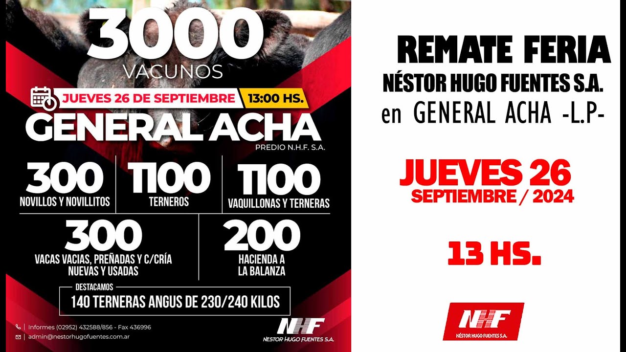 Remate de Néstor Hugo Fuentes S.A. | General Acha – La Pampa | 26/09/2024