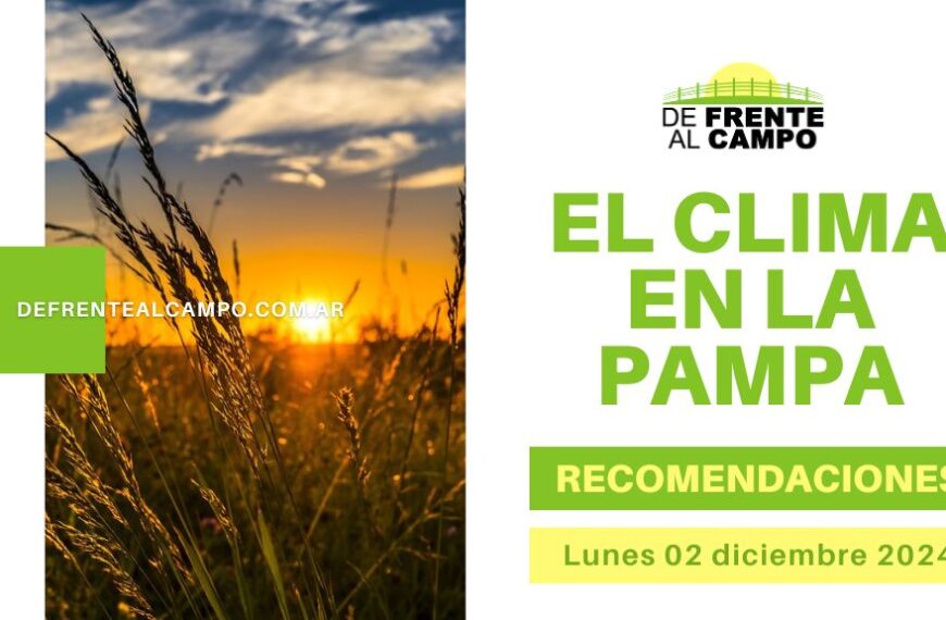 Aire fresco y mucho sol: La Pampa arranca diciembre con días agradables (Lunes 02/12)
