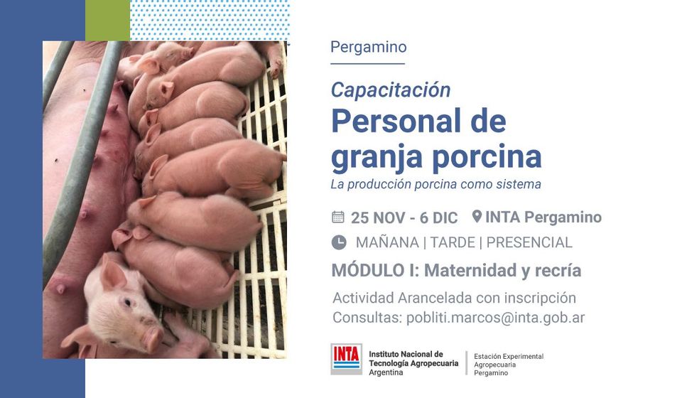 Capacitación intensiva en producción porcina en INTA Pergamino